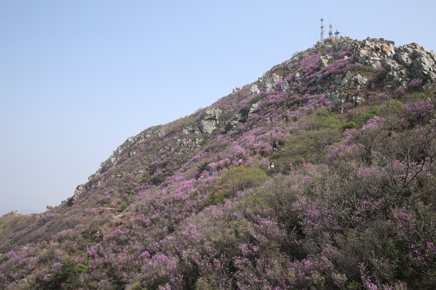 welcometo接待光临888集团(中国)有限公司