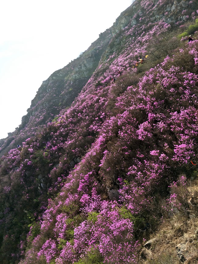 welcometo接待光临888集团(中国)有限公司