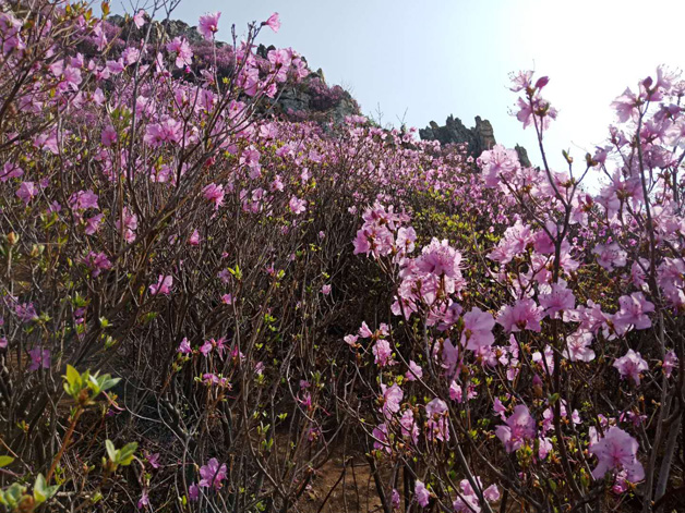 welcometo接待光临888集团(中国)有限公司