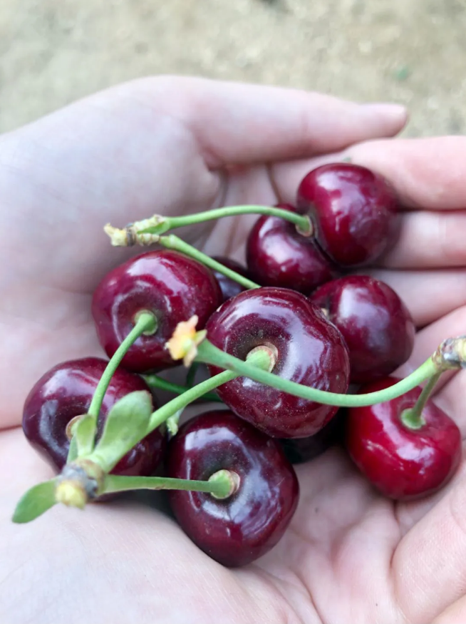 welcometo接待光临888集团(中国)有限公司